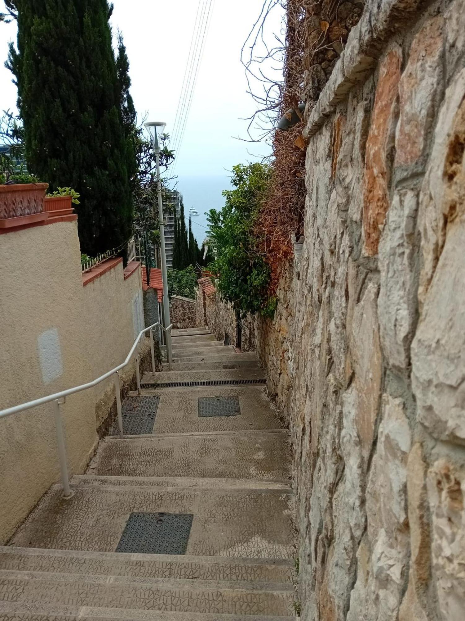 博索莱伊Close To Montecarlo, Monaco Sea Side, Private Parking公寓 外观 照片
